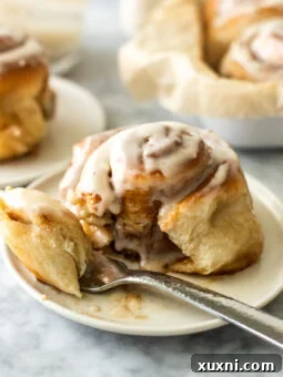 plate of bitten brown butter vegan cinnamon roll