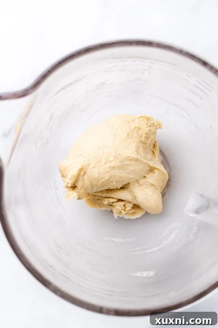 Smooth, well-kneaded vegan cinnamon roll dough in a bowl, ready for its first rise