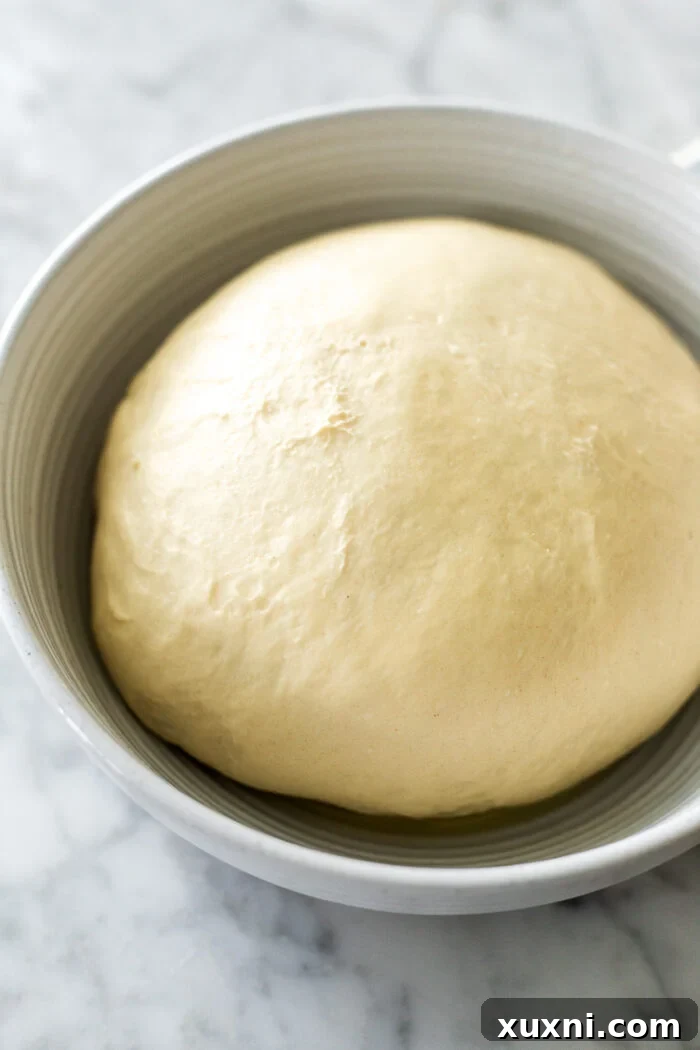 Vegan cinnamon roll dough, noticeably risen and puffy, in a bowl after its first proofing