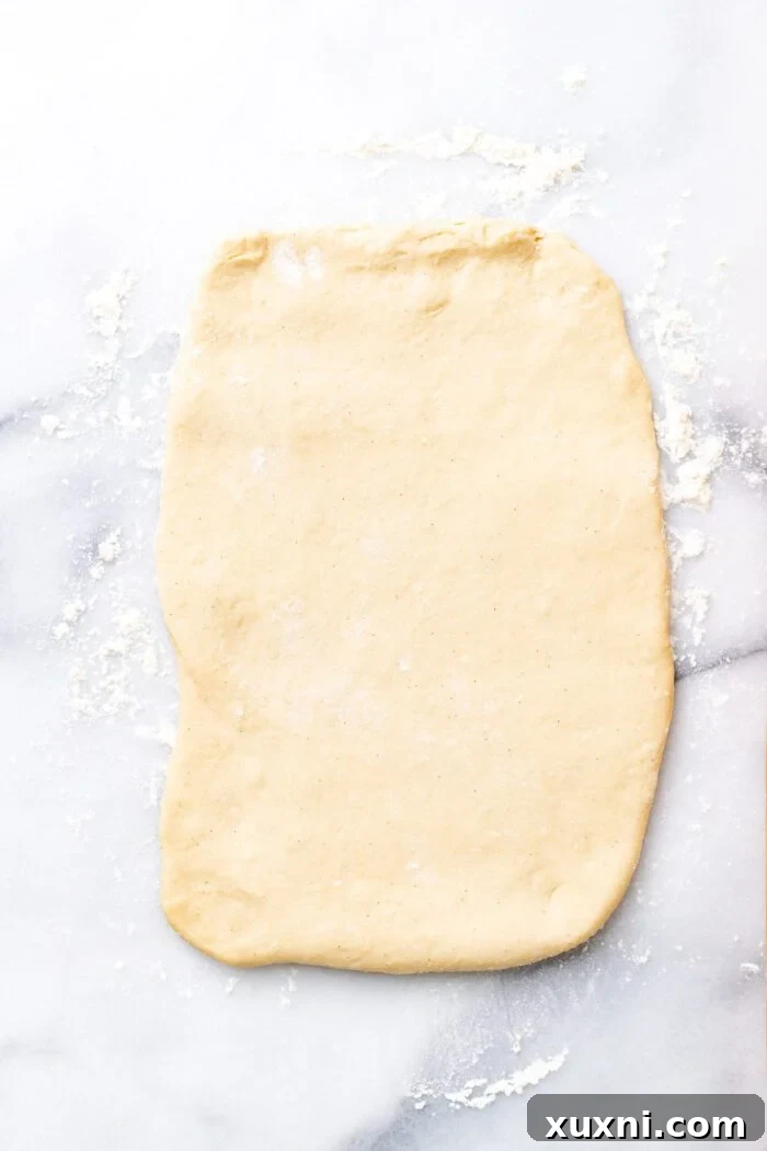 Vegan cinnamon roll dough rolled out into a rectangle on a floured surface, ready for filling