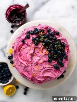 vegan blueberry frosting on a cake