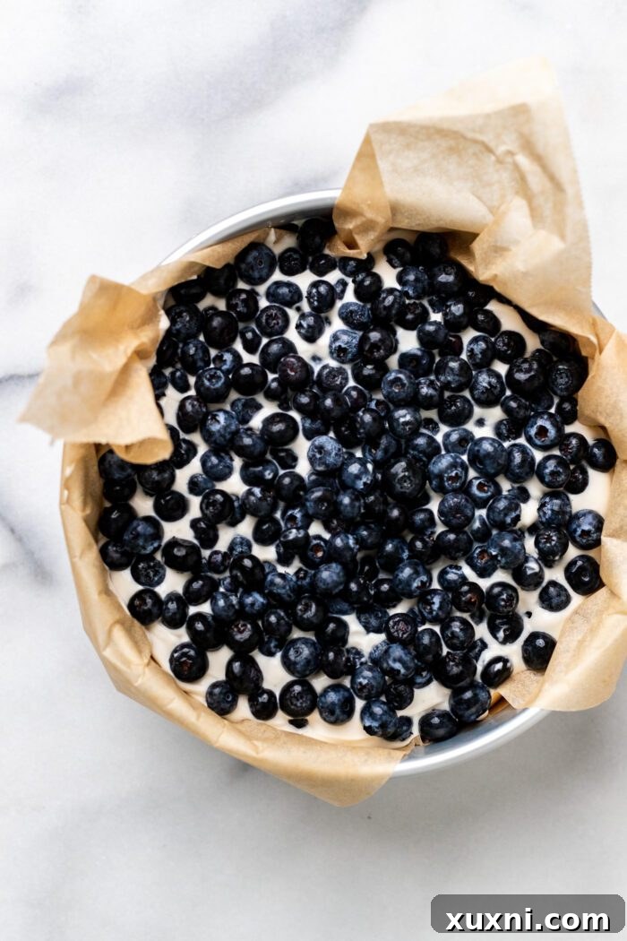 blueberry Basque cheesecake before baking