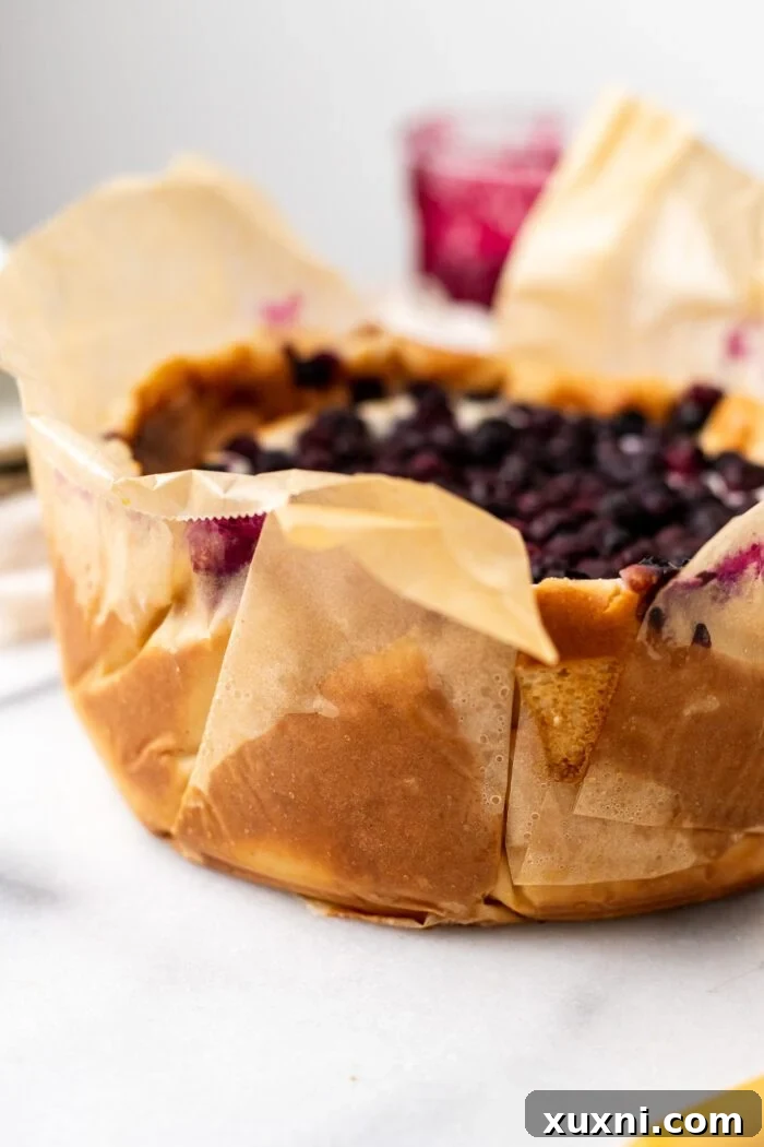 baked blueberry Basque cheesecake