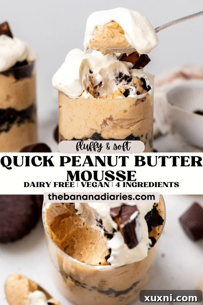 Easy Fluffy Dairy-Free Peanut Butter Mousse (Vegan) pinterest pin