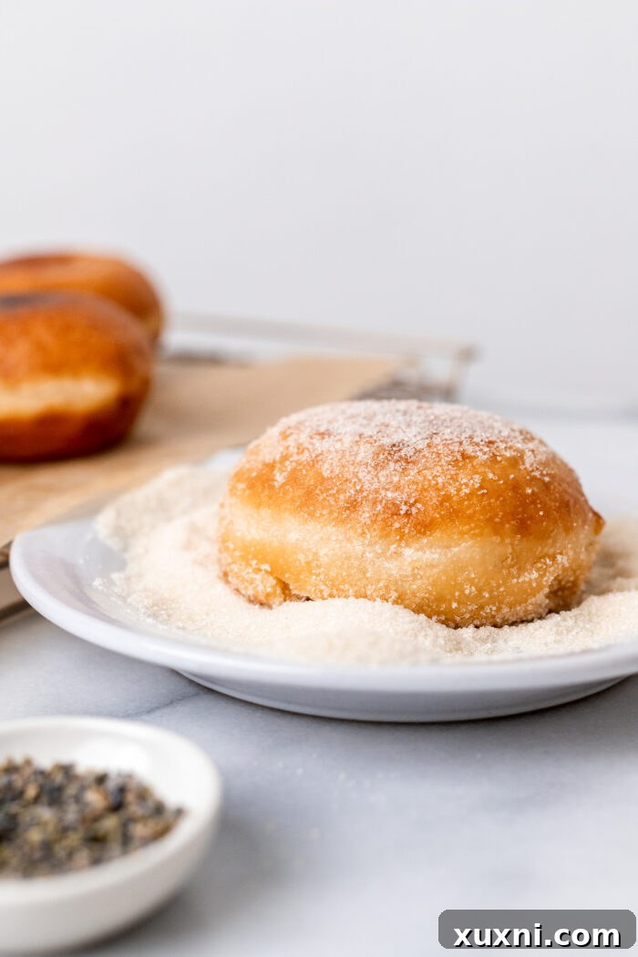 doughnuts in sugar