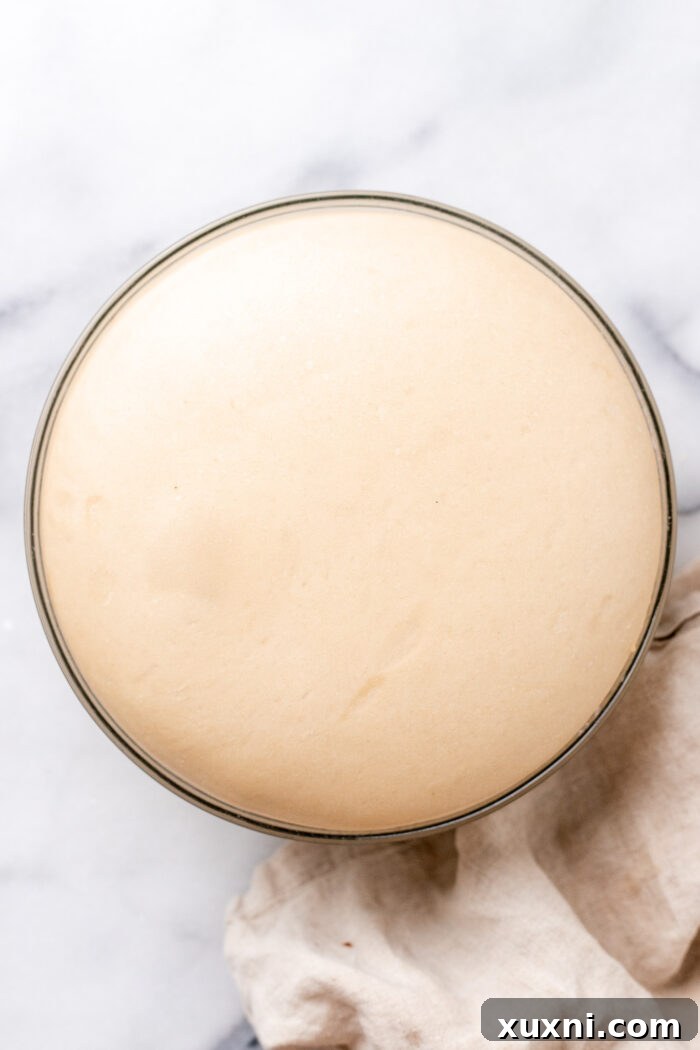 doughnut dough after first proof