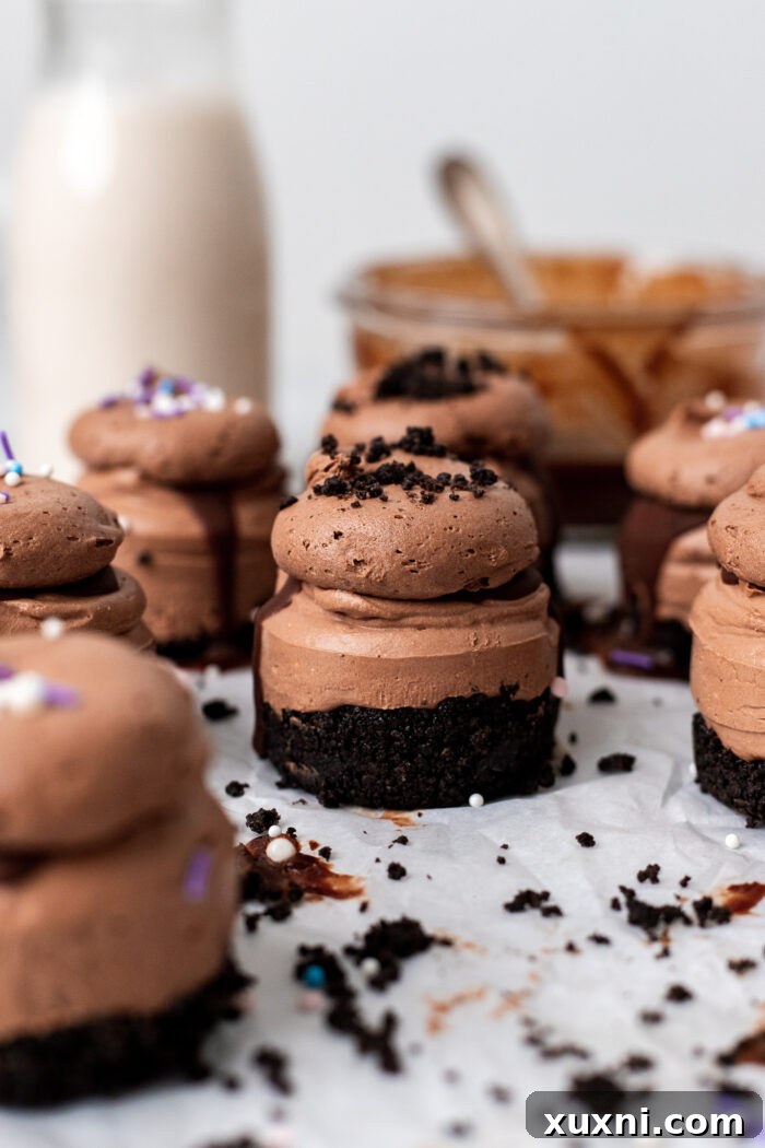 Easy No Bake Plant Based Chocolate Mini Cheesecakes 12 A beautifully decorated mini chocolate cheesecake, topped with crushed Oreo cookie crumbs.
