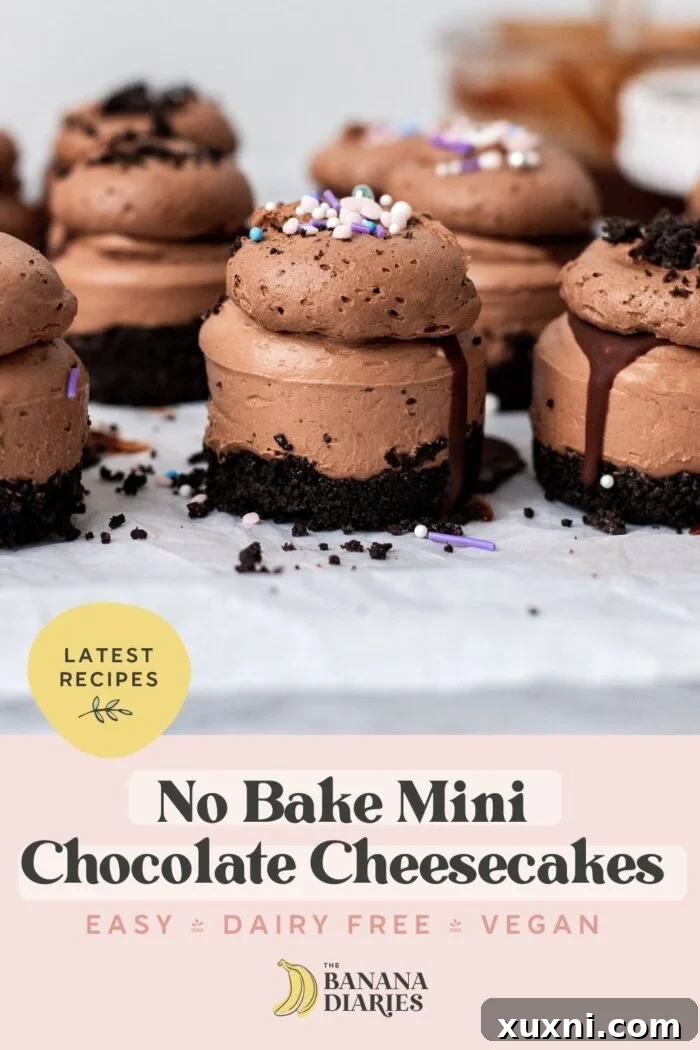Easy No Bake Plant Based Chocolate Mini Cheesecakes 14 Pinterest pin graphic for Easy No Bake Mini Chocolate Cheesecakes (Dairy Free + Vegan) showing a close-up of the finished dessert.