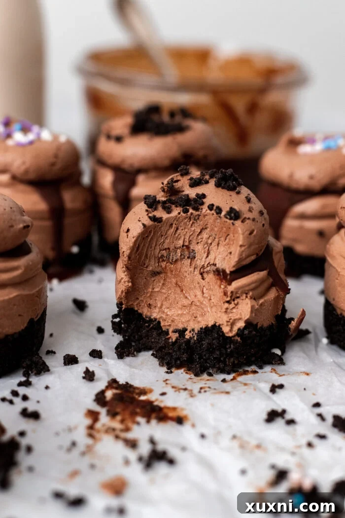 Easy No Bake Plant Based Chocolate Mini Cheesecakes 16 A tray of beautifully presented mini chocolate cheesecakes with various toppings, ready for serving.