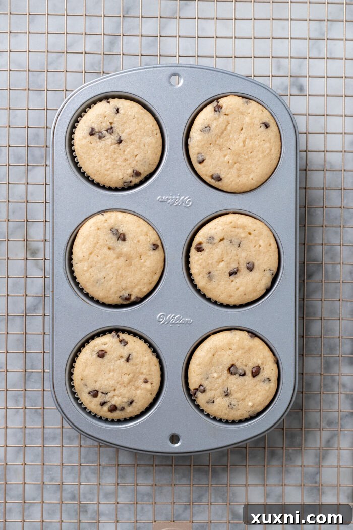 Freshly baked cupcakes in a muffin tin, golden brown and perfectly risen.
