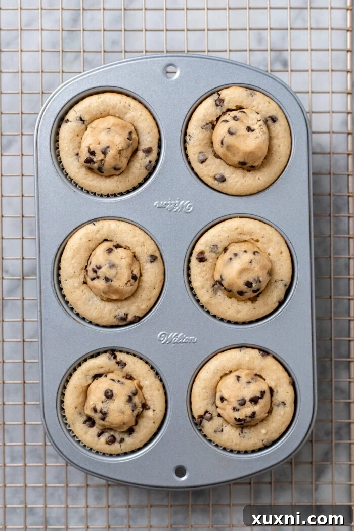 Cupcakes stuffed with balls of edible cookie dough, ready for frosting.