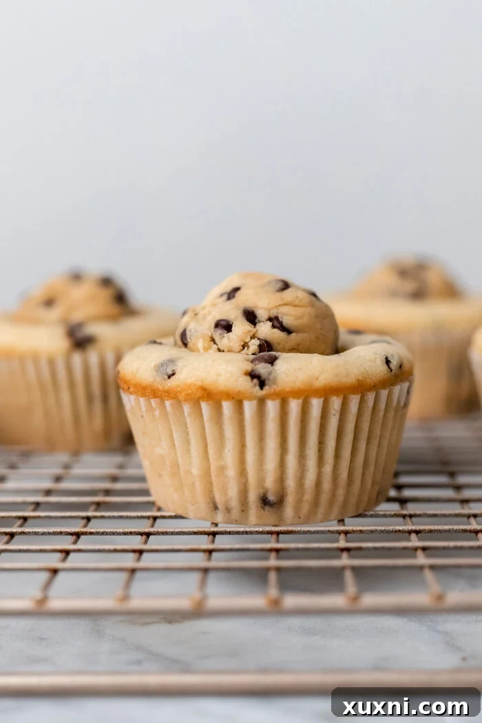 Filled cookie dough cupcakes, waiting to be frosted.