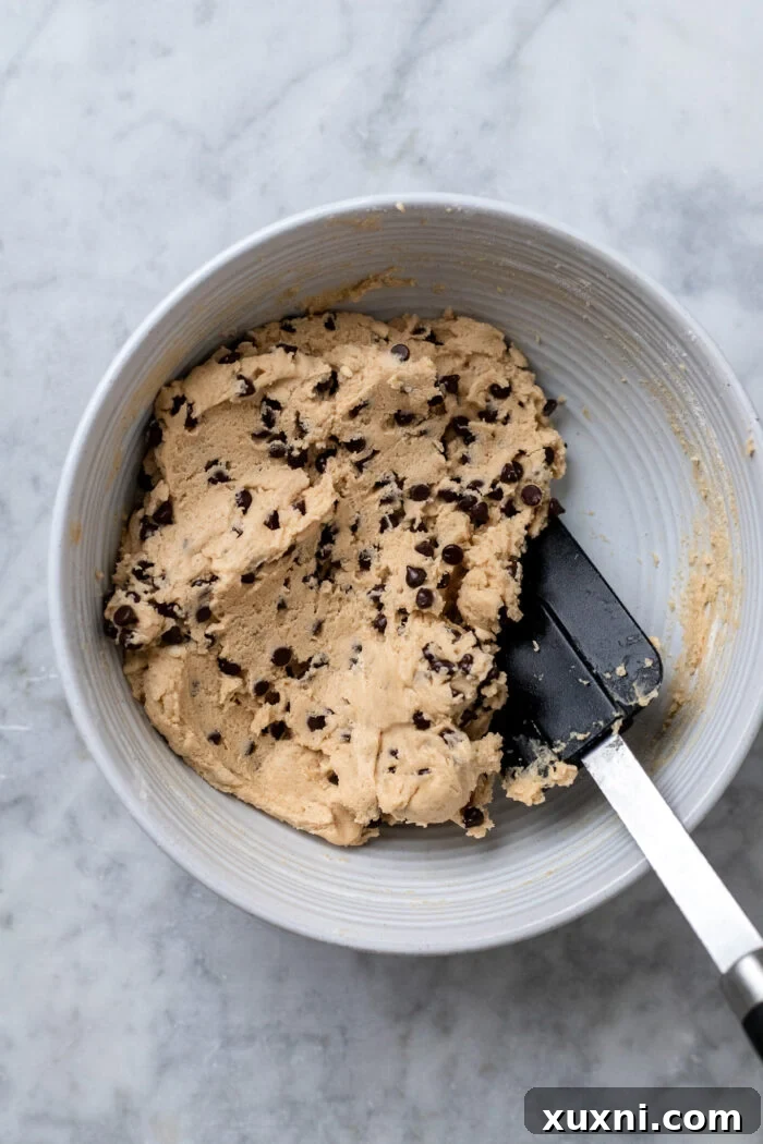 Chocolate chip cookie dough resting in a bowl after chocolate chips have been stirred in.