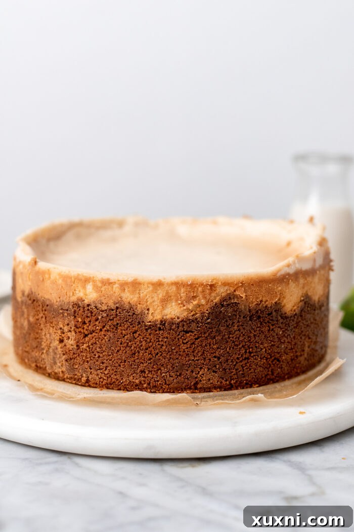 Cooled key lime cheesecake in a springform pan