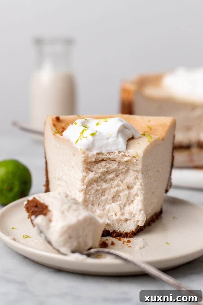 Two perfect slices of vegan key lime cheesecake with whipped cream and lime zest