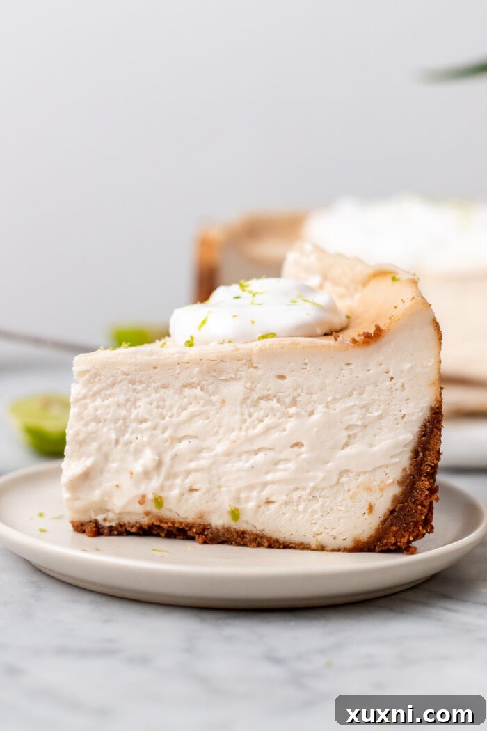 A perfectly sliced key lime cheesecake with a dollop of vegan whipped cream and lime zest on a plate