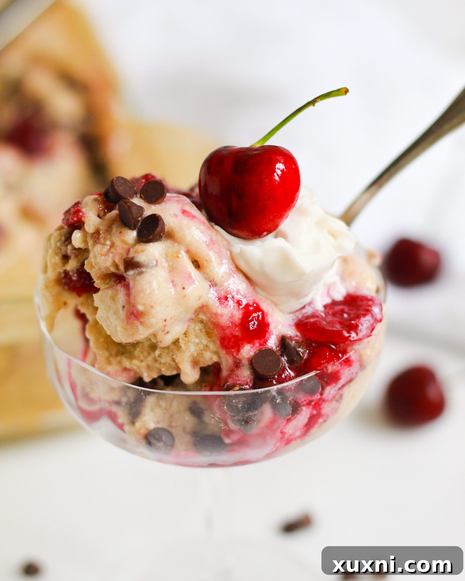 close up of vegan cherry garcia sundae