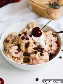 paleo cherry garcia ice cream with coconut cream and a cherry on top