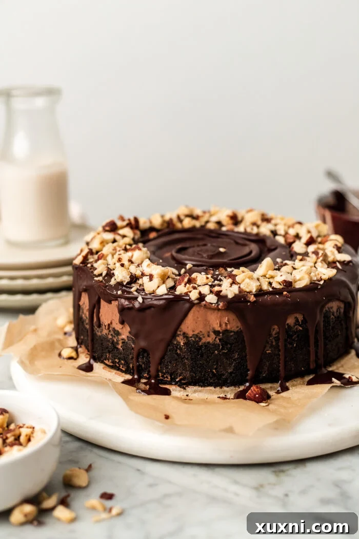 Decorated vegan Nutella cheesecake with chocolate ganache drizzle and crushed hazelnuts.