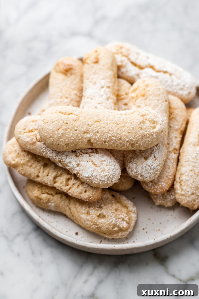 plate of homemade ladyfingers