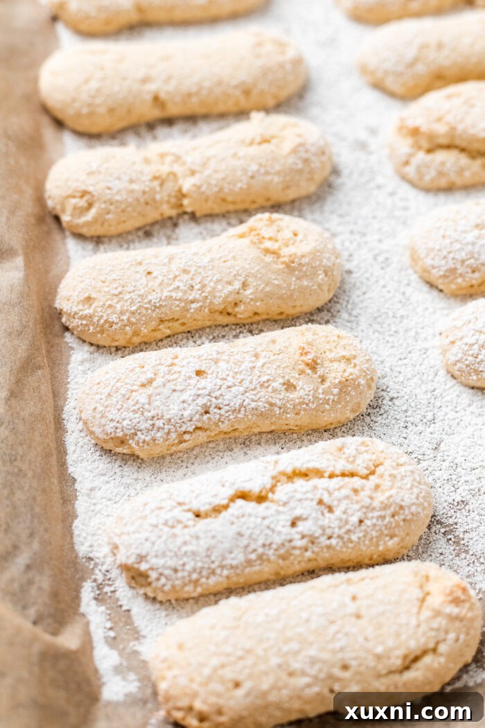 vegan ladyfingers after being baked