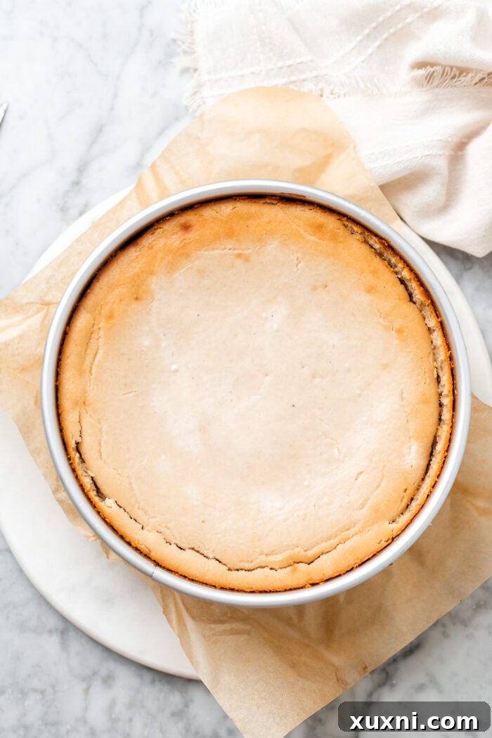 A fully baked vegan peach cobbler cheesecake, golden and slightly jiggly, cooling after coming out of the oven.