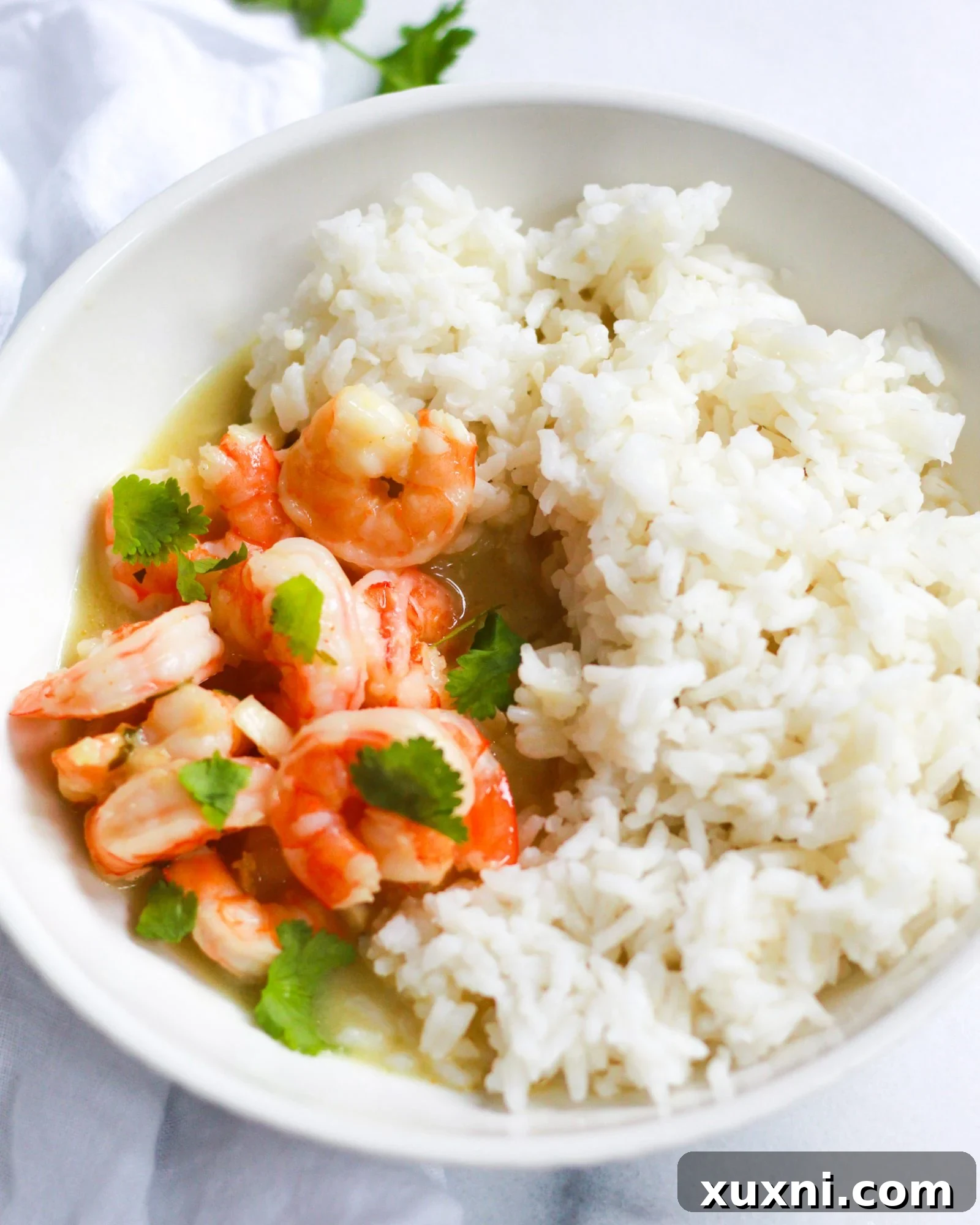 Creamy Thai Coconut Curry Shrimp 13 bowl of white rice and coconut curry shrimp