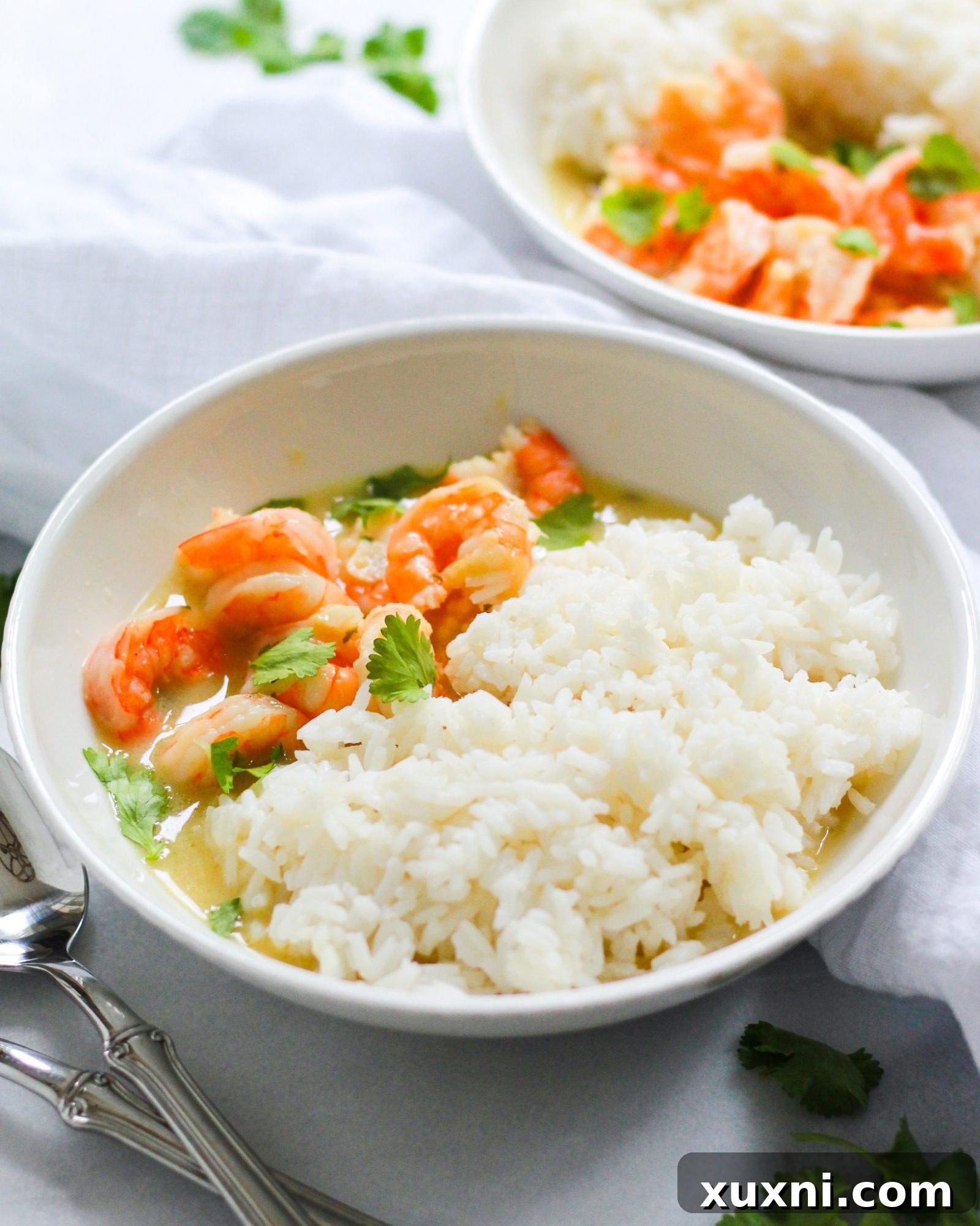 Creamy Thai Coconut Curry Shrimp 14 3/4 shot of shrimp with coconut milk sauce and rice