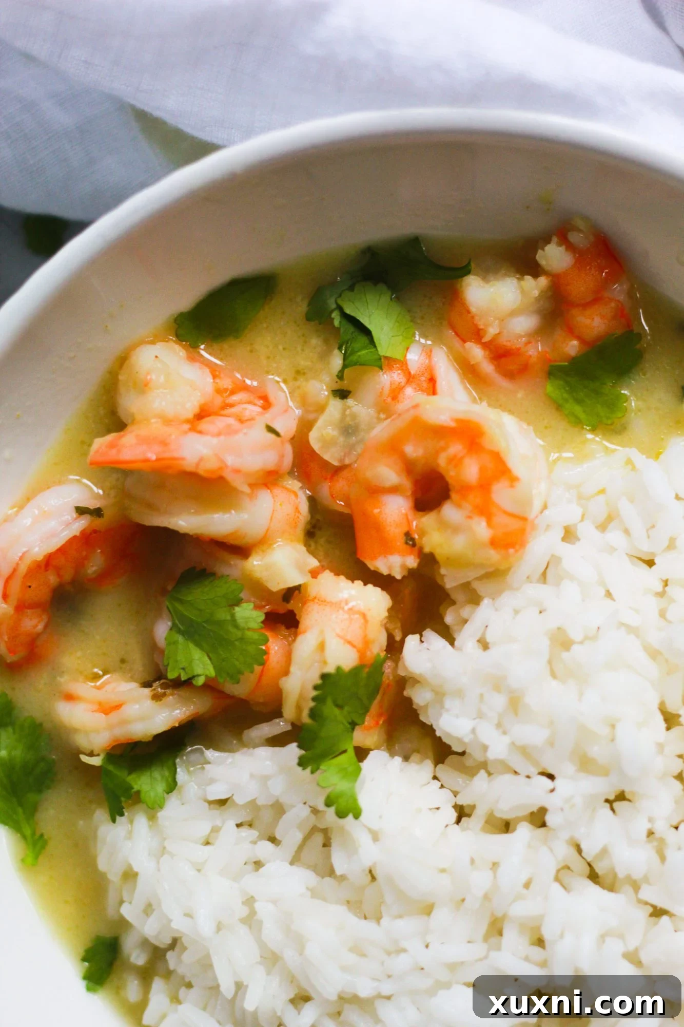 Creamy Thai Coconut Curry Shrimp 3 close up of thai coconut curry shrimp in bowl
