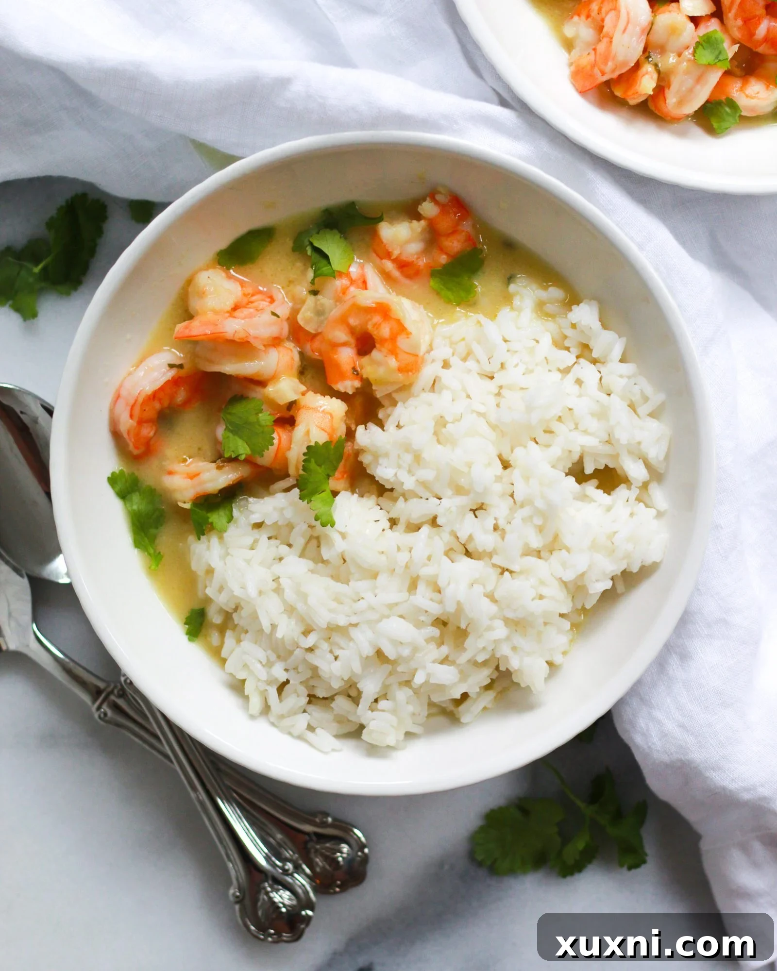 Creamy Thai Coconut Curry Shrimp 5 bowl of coconut curry shrimp with cilantro and rice