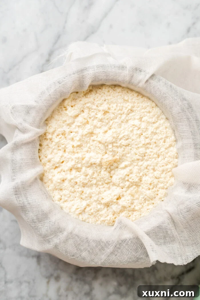 Strained pea milk curds collected in a cheesecloth-lined sieve over a bowl, after draining the liquid.
