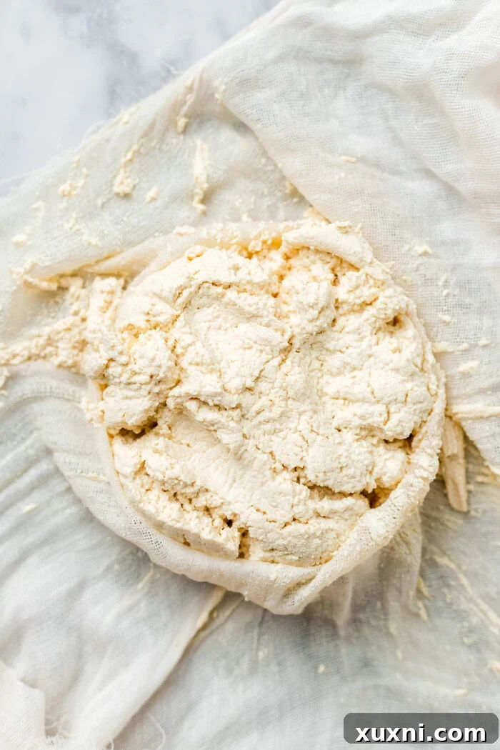 Close-up of the strained pea milk curds, resembling dry cottage cheese, after all excess liquid has been squeezed out.