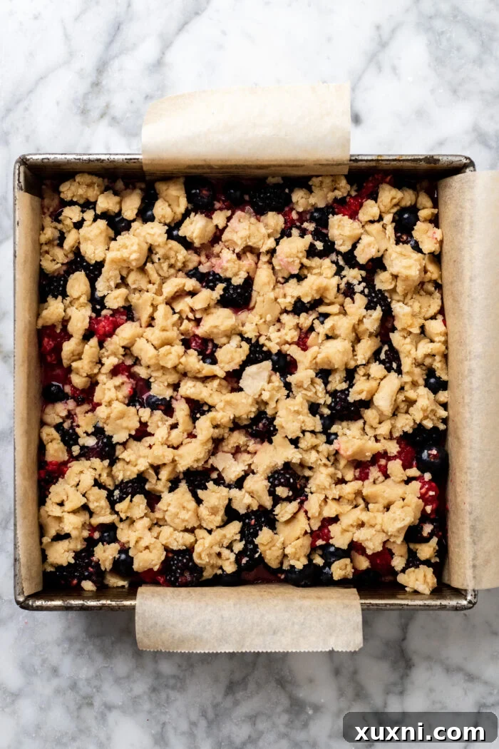 Assembled triple berry crumble bars before final baking, with berry filling on the crust and crumble topping.
