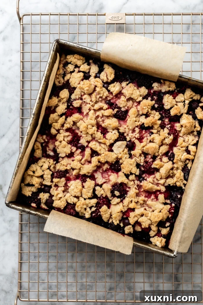 Freshly baked triple berry crumble bars in the pan, golden brown and bubbly.
