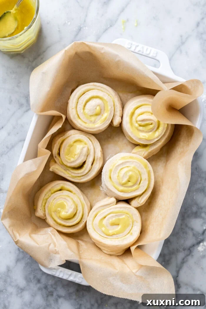 Small Batch Gooey Lemon Sweet Rolls Plant Based 11 The shaped lemon sweet rolls arranged in a casserole dish, covered and left to rise again.