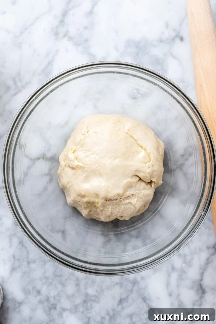 Small Batch Gooey Lemon Sweet Rolls Plant Based 7 A ball of freshly kneaded vegan dough resting in a bowl, before its first rise.