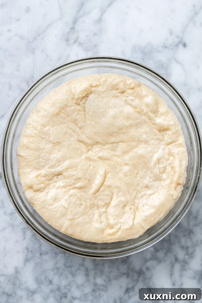 Small Batch Gooey Lemon Sweet Rolls Plant Based 8 The same vegan dough, now fully risen and doubled in size within the greased bowl.