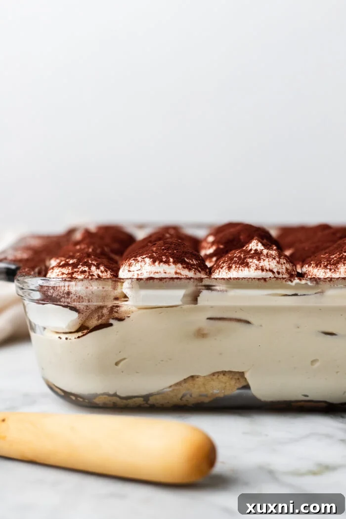 A slice of homemade vegan tiramisu with a generous layer of vegan mascarpone cream, dusted with cocoa powder.