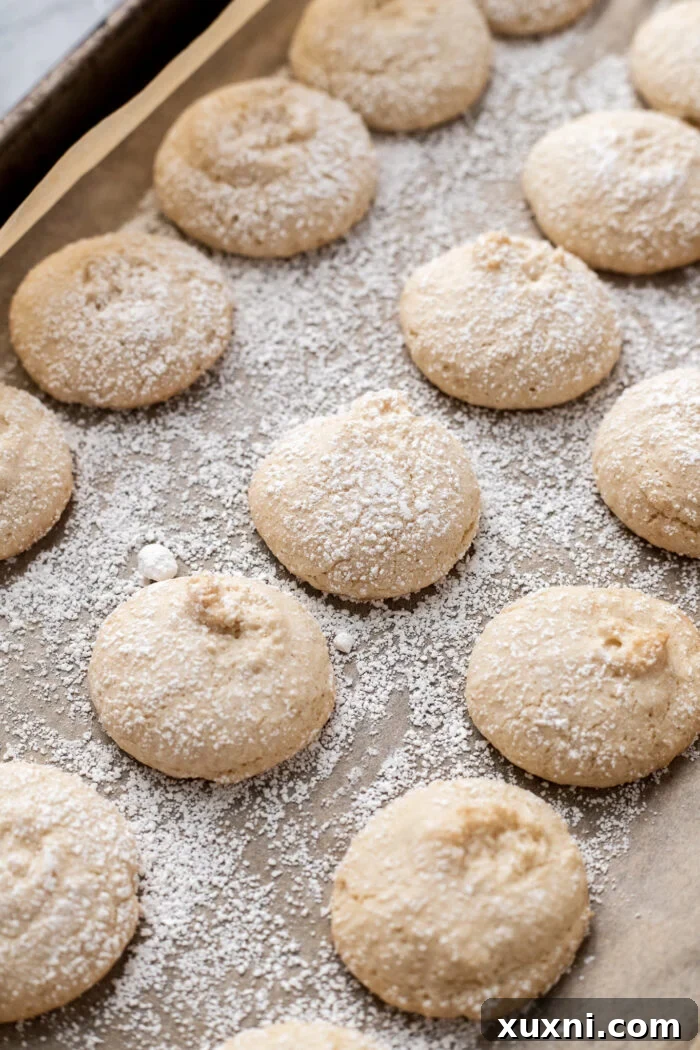 baked vegan ladyfingers