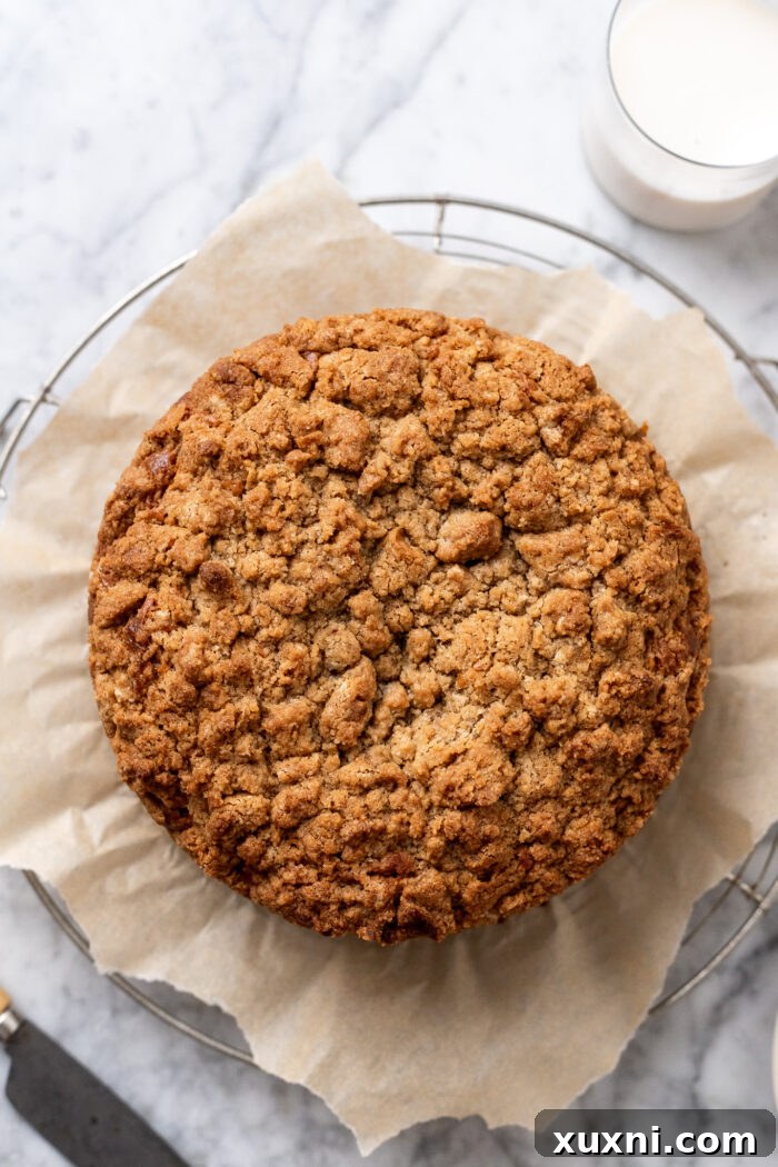 Freshly baked vegan banana crumb cake in a springform pan, golden and inviting.
