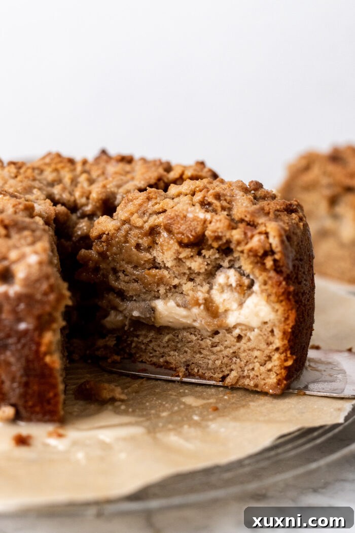 Two perfect slices of vegan banana crumb cake, showcasing the layers of cake, filling, and topping.