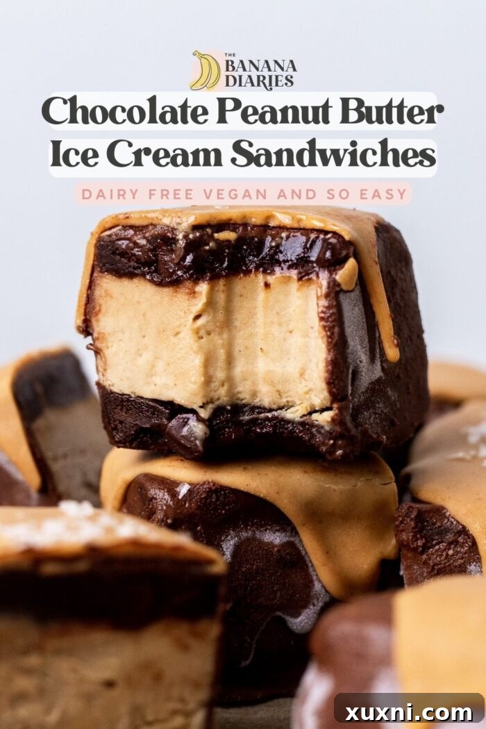 Easy Vegan Chocolate Peanut Butter Ice cream Sandwiches (Gluten Free Option) pinterest pin
