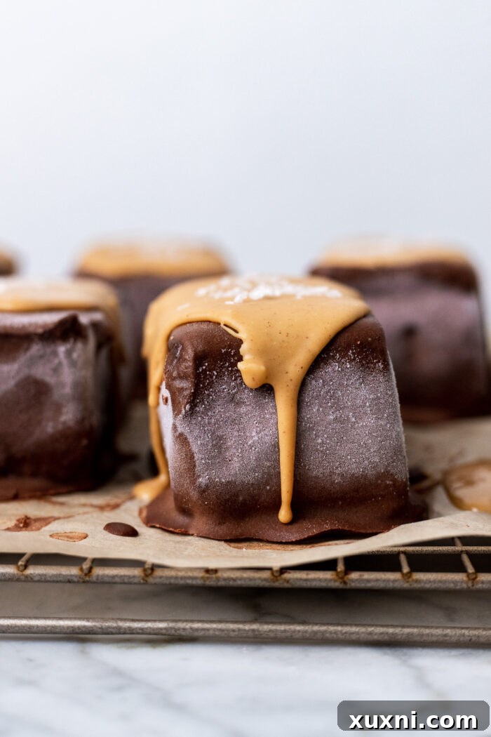 peanut butter ganache on top of ice cream sandwiches