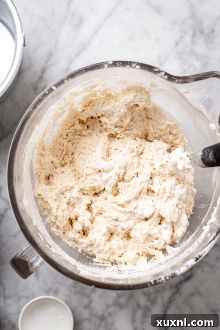 Heavenly Vegan Angel Food Cake 13 Partially folded vegan angel food cake batter, showing dry ingredients half-integrated before adding milk.