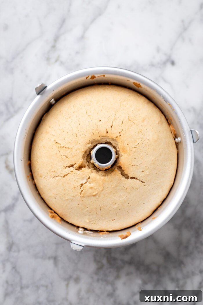 Heavenly Vegan Angel Food Cake 16 A freshly baked vegan angel food cake, beautifully risen and golden brown after baking.