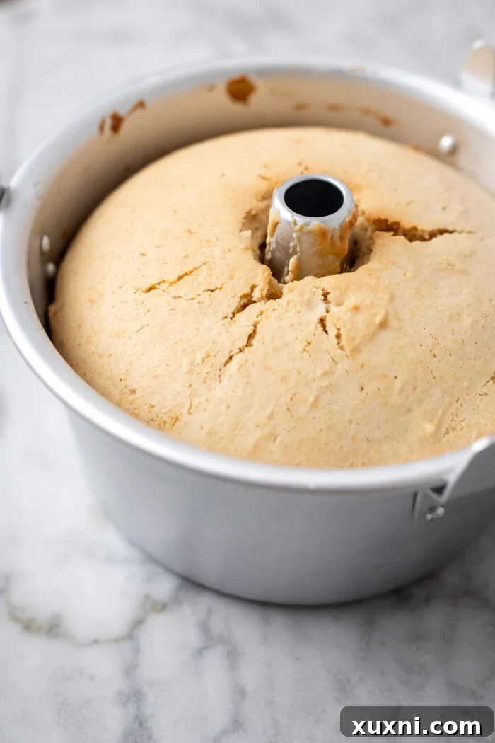Heavenly Vegan Angel Food Cake 17 A cooled vegan angel food cake still in its pan, sitting upright.