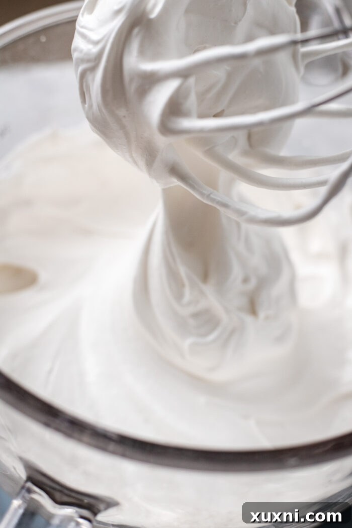 Heavenly Vegan Angel Food Cake 19 Visual representation of soft peaks in vegan meringue.