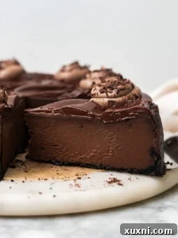 A beautifully sliced baked vegan chocolate cheesecake on a white plate, showcasing its layers and rich texture, garnished with a single raspberry.