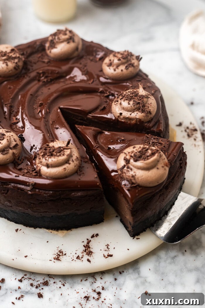 A vibrant close-up of a sliced vegan chocolate cheesecake on a plate, garnished with fresh raspberries and a dusting of cocoa powder.