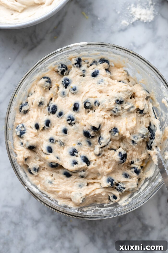 blueberry coffee cake batter in a bowl
